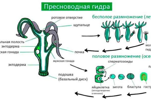 Кракен сайт kr2web in официальный ссылка